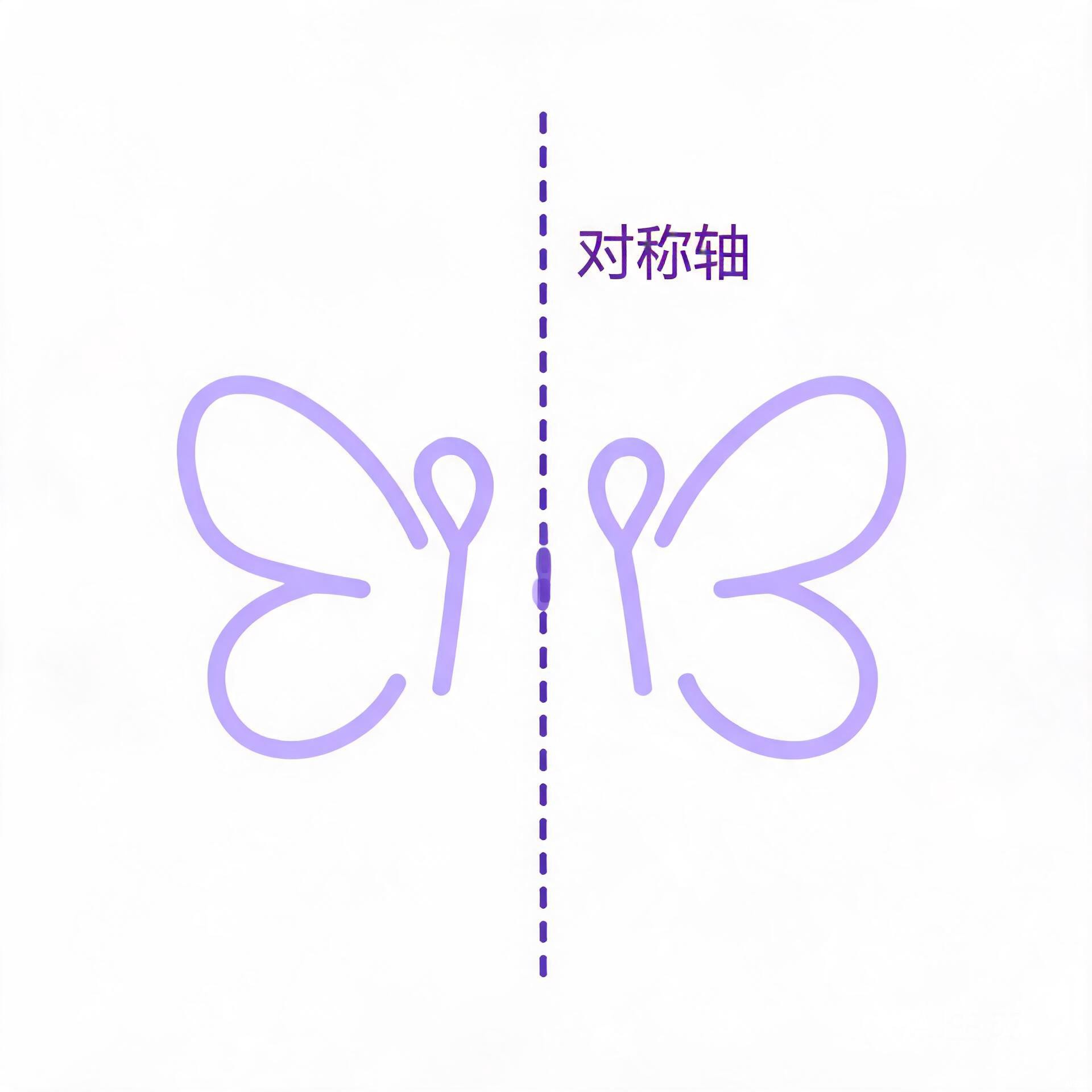 轴对称基本性质